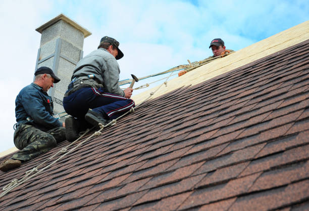 Best Local Roofing Companies  in Vinton, IA