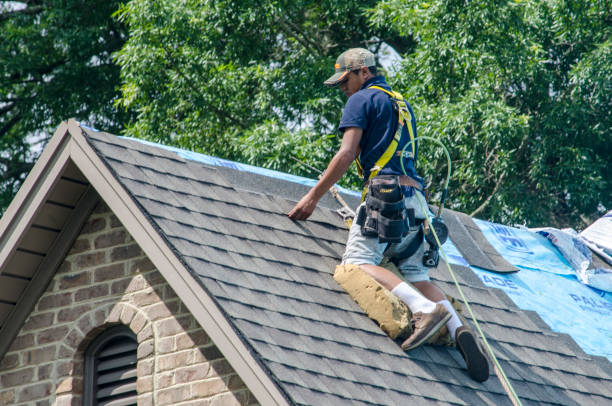 Best Storm Damage Roof Repair  in Vinton, IA